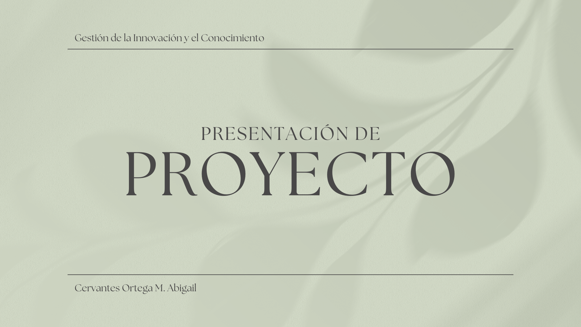 Presentación 3